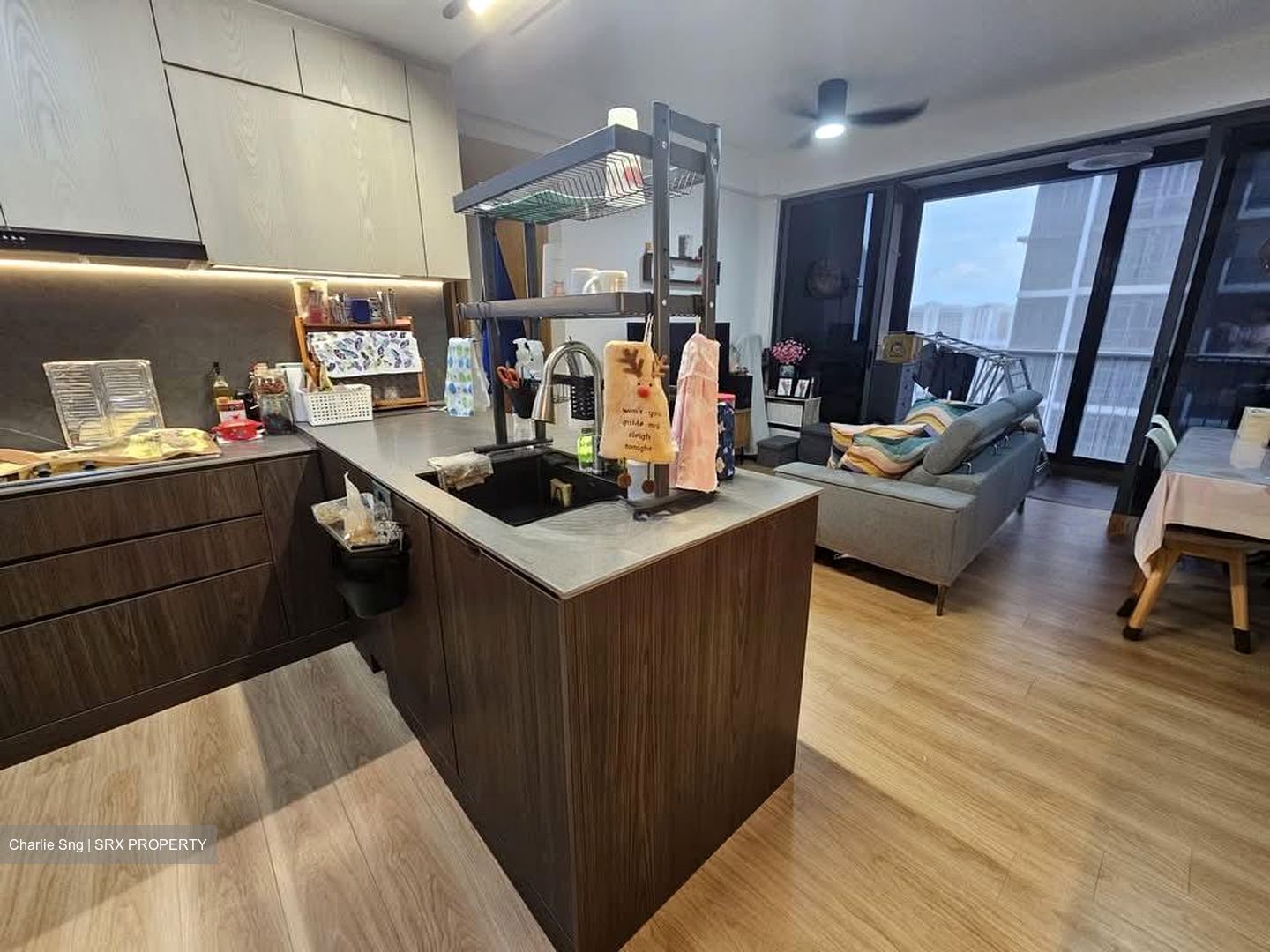 La Fiesta (D19), Condominium #584271111